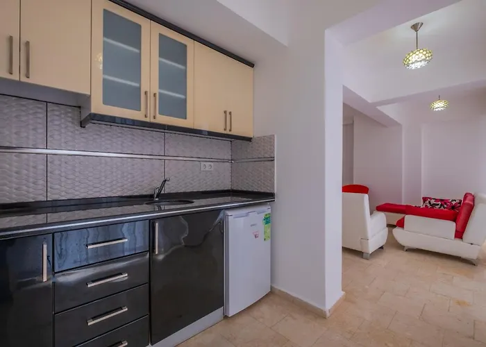 Vilă Infinity Olympia