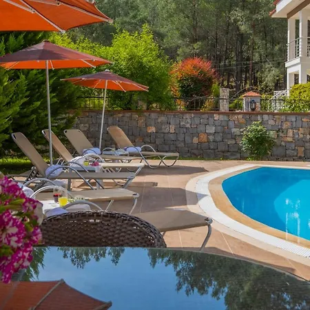 Infinity Olympia Villa *