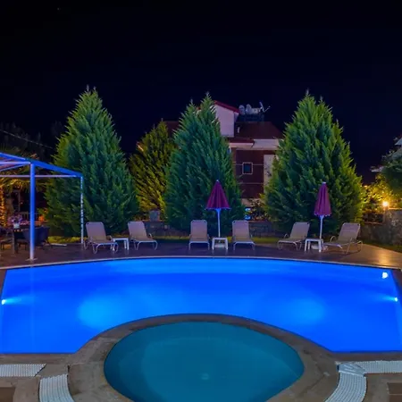 Villa Infinity Olympia *