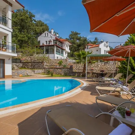 Villa Infinity Olympia