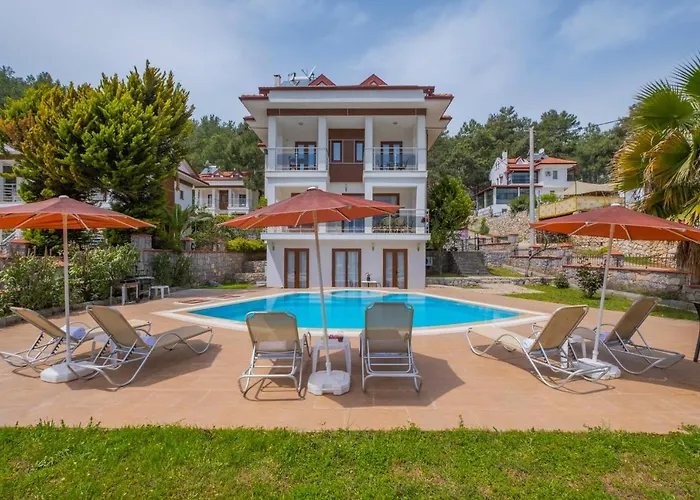 Villa Infinity Olympia *