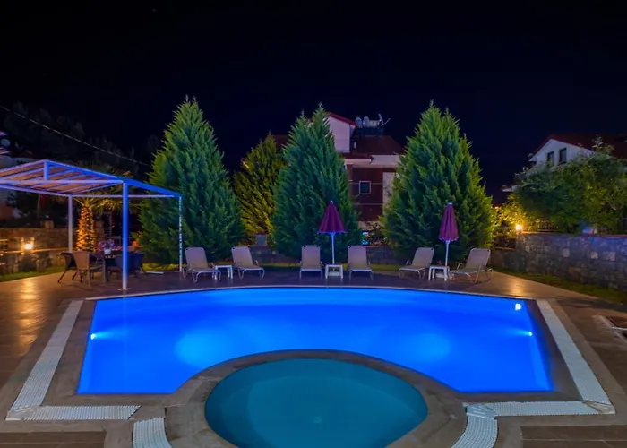 Villa Infinity Olympia *