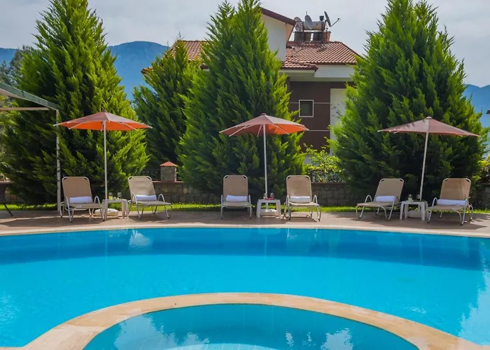 Villa Infinity Olympia