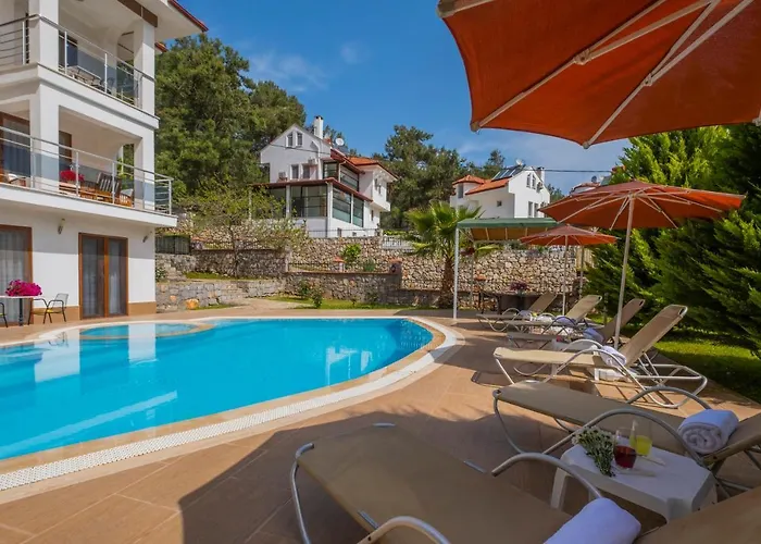 Villa Infinity Olympia